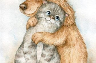 Хорхе Букай